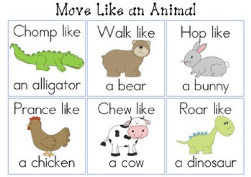 Animal Activity Card